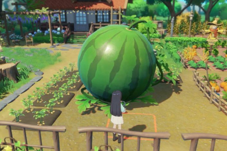 La versión para Nintendo Switch 2 de Starsand Island aún no parece estar lista para su lanzamiento