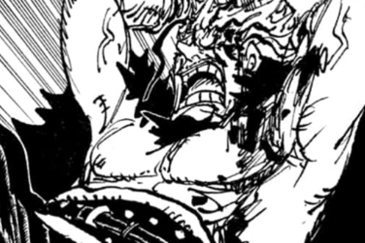 Enlace Para Leer One Piece Manga Capítulo 1160 en Español, Aunque solo se usa como herramienta *hmmm