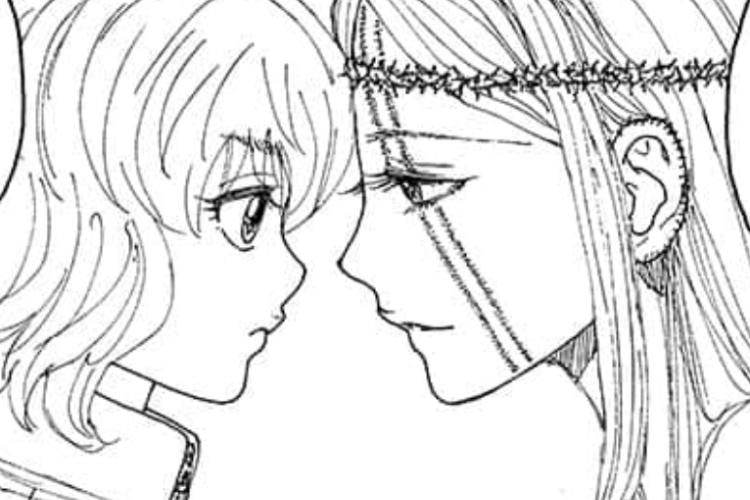 HIATUS! Spoilers y Leer Mangas Hunter x Hunter Capítulo 411 en Español, ¡Mamá es la fuente del entusiasmo!