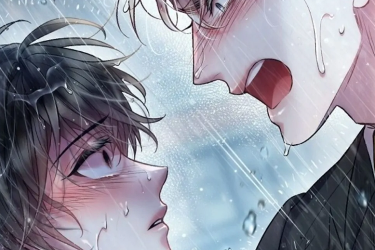 Enlace de Leer Manhwa BL Sugar Rain Capítulo Completo en Español, Consulte La Sinopsis y Otros Títulos