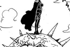 ¡Craspedia! Leer el Manga One Piece Capítulo 1150 Español, Robin ligeramente herido