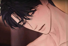 ¡Qué Bonito! ¿Quién Tiene Curiosidad por Saber Cómo Continúa el Manhua Amor Accidental (Accidental Love) Cap 93 en Español?