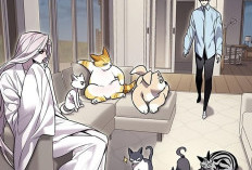 ¡Buenas y malas noticias! RAW Leer Manhwa Eleceed Capítulo 409 en español