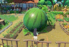 La versión para Nintendo Switch 2 de Starsand Island aún no parece estar lista para su lanzamiento