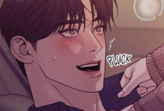 Enlace de Leer Manhwa BL Pearl Boy Capítulo Completo en Español, Consulte La Sinopsis Detallada