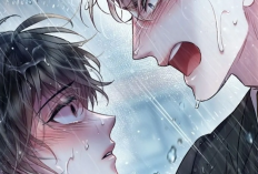 Enlace de Leer Manhwa BL Sugar Rain Capítulo Completo en Español, Consulte La Sinopsis y Otros Títulos